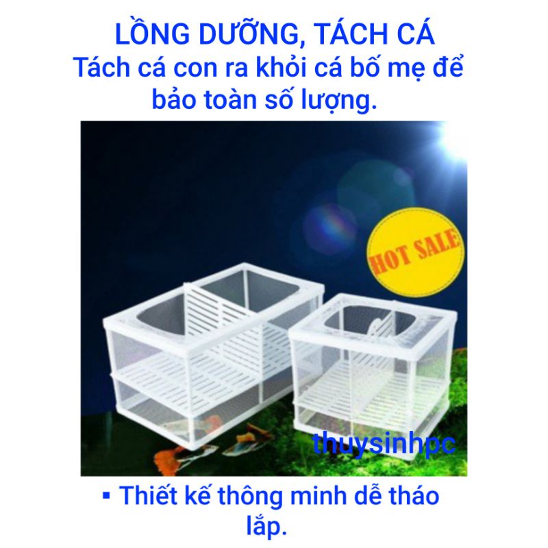 [Mã 155FMCGSALE giảm 7% - tối đa 100K đơn 500K] Lồng dưỡng cá và tách cá đẻ, giảm stress cho cá cảnh