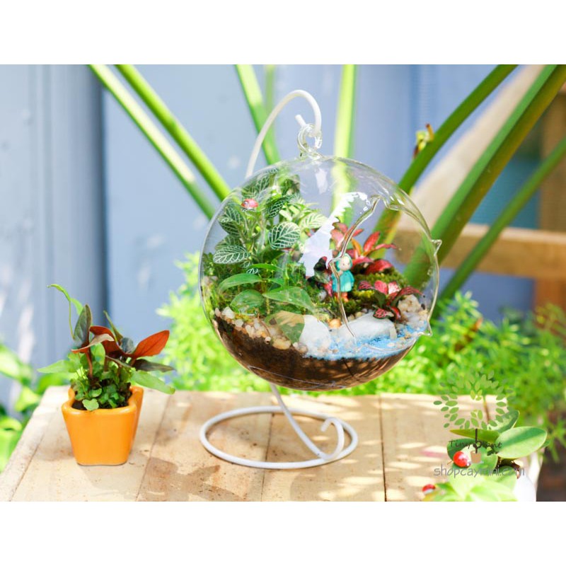 Mô hình bé gái trang trí tiểu cảnh terrarium