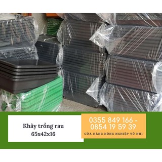 Khay trồng rau thông minh 65x42x16