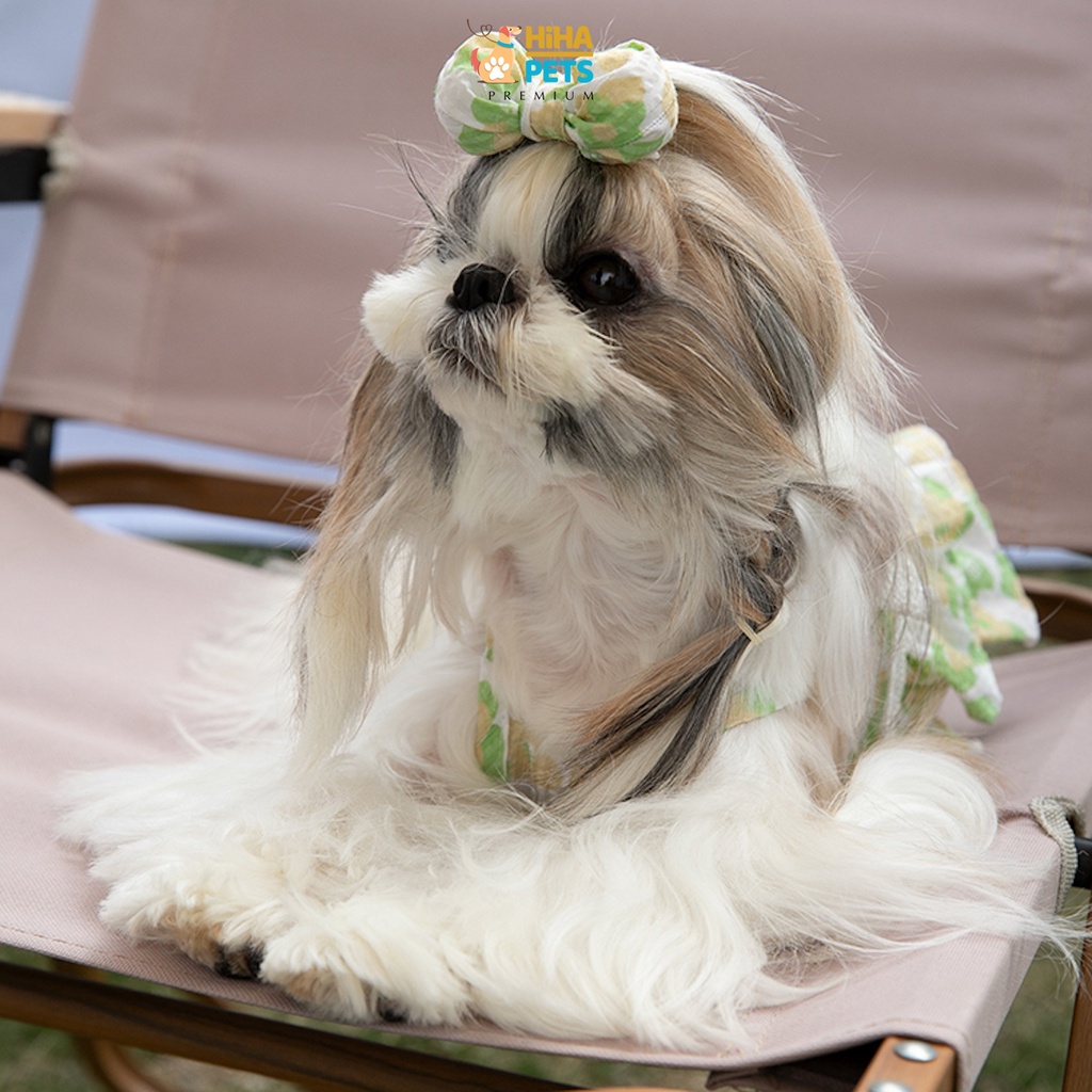 Váy Đầm Có Kẹp Tóc Đi Kèm Dành Cho Cún Mèo Quần Áo Thú Cưng Thời Trang Cao Cấp Hàn Quốc Hihapet.