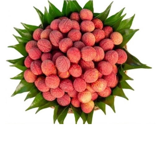 [HCM] 1 kg Vải Thiều Lục Ngạn / Thanh Hà NTFood - Hạt nhỏ, Ngon ngọt - Nhất Tín Food