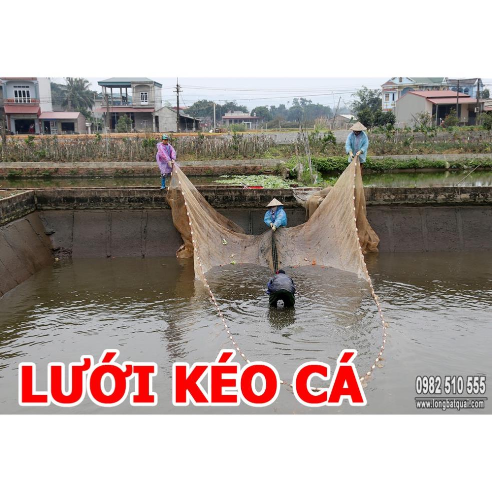 Lưới Quét cá - Lưới kéo cá - Lưới vét cá cao 2m dài 10m túi 4m giá rẻ FISHING HD