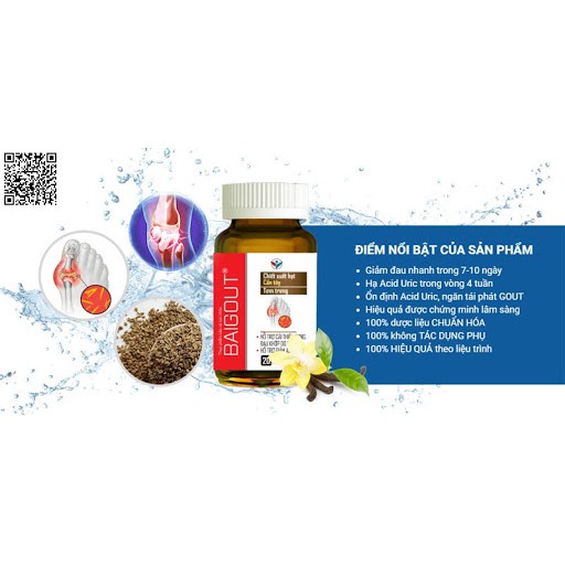 Baigout – Viên uống hỗ trợ điều trị gout (Hộp 20 viên)