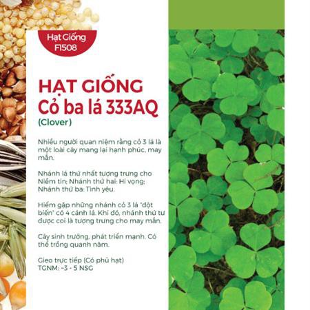 Hạt giống Cỏ ba lá 333AQ