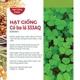 Hạt giống Cỏ ba lá 333AQ