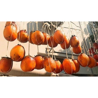 Hồng treo gió