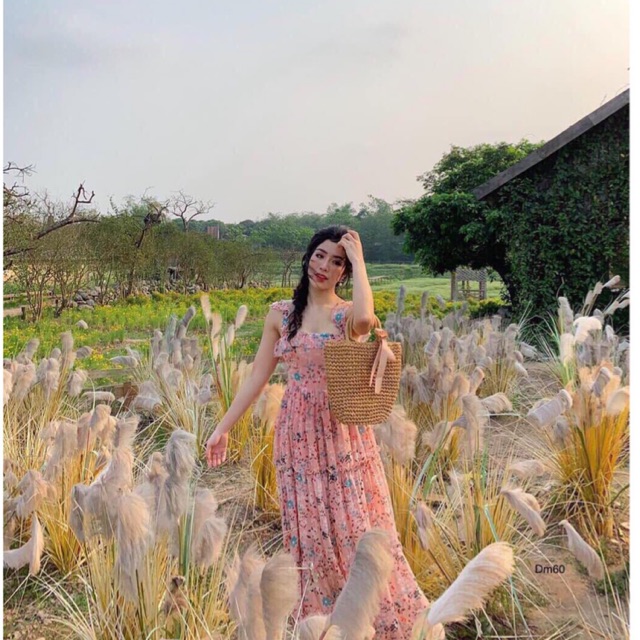 [ Sản Phẩm HOT ] Đầm dáng xòe Hoa cánh tiên bèo xinh tươi trong nắng | Đầm đi biển | Đầm dự tiệc