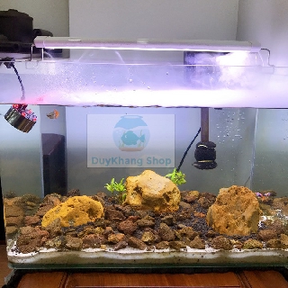 Máy Tạo Khói, Máy Phun Sương Mini, Cho Hồ Cá Cảnh, Hồ Thủy Sinh, Hồ Non Bộ, Tiểu Cảnh