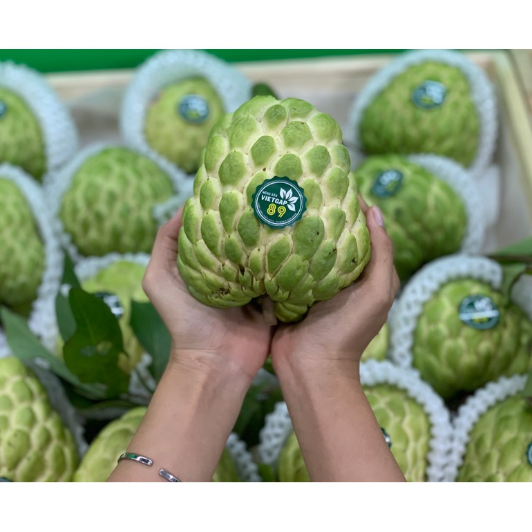 HẠT GIỐNG NA THÁI  - 5 hạt/ gói