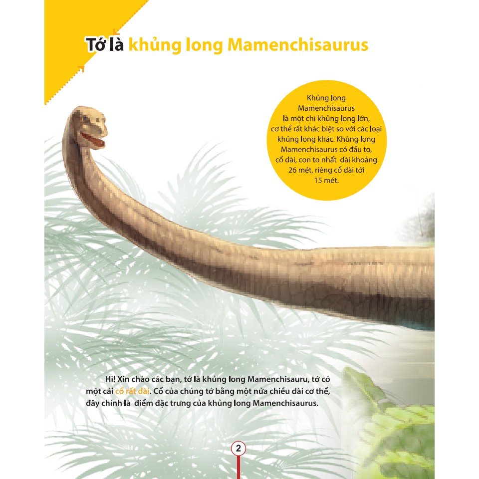 Sách-Kiến thức về khủng long-Cổ khủng long Mamenchisaurus dài bao nhiêu?Cơ thể khủng long chứa đầy bí mật