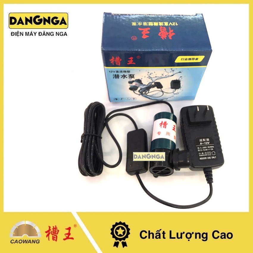 Bơm Nước CAOWANG 12V