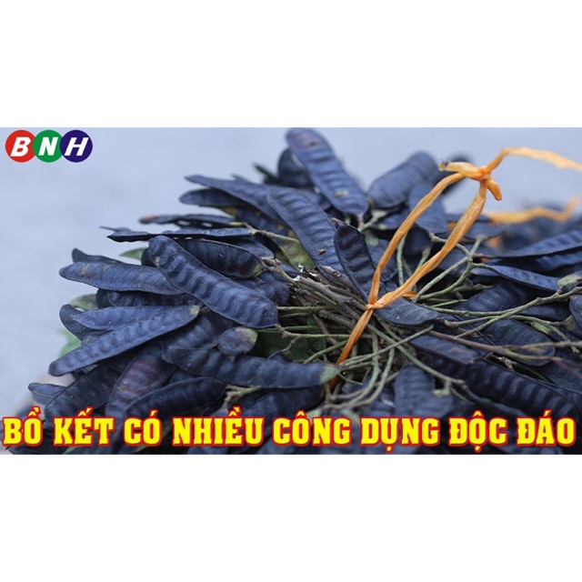 Bồ kết khô
