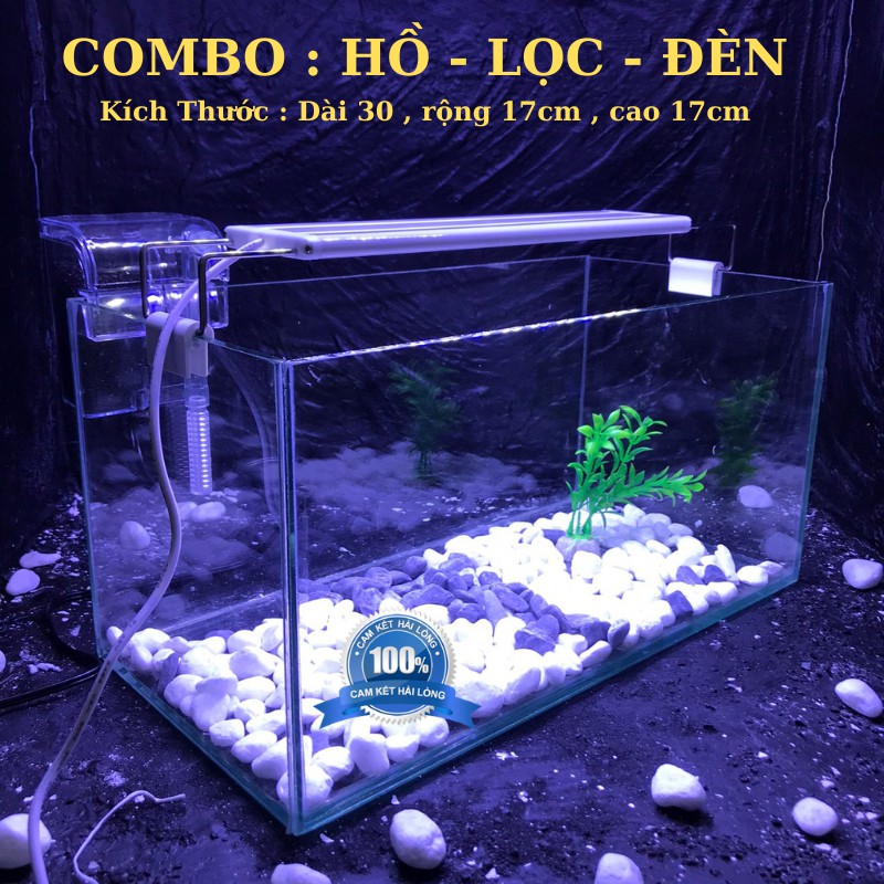 Bể cá mini COMBO ĐẦY ĐỦ D30H17C17 đã bao gồm 6 món phụ kiện