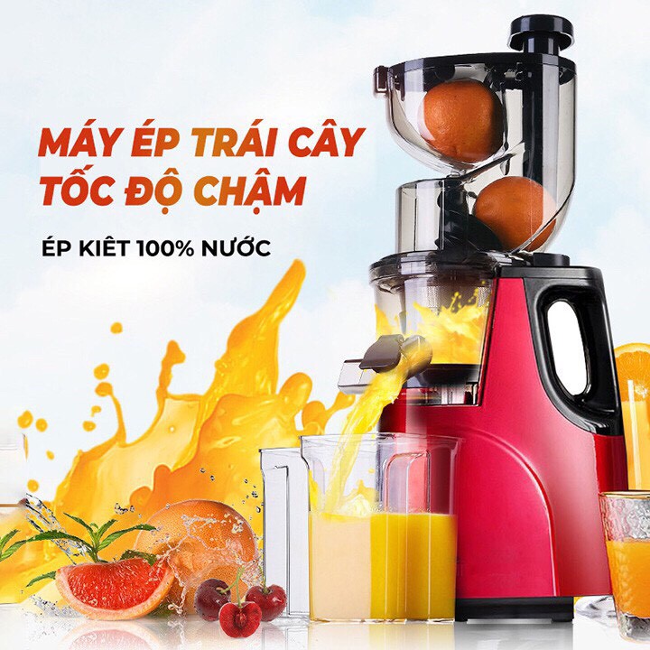 Máy ép trái cây chậm Hongxin RH312 , Máy ép hoa quả, rau củ cỡ lớn, ép nguyên quả, Hàng chính hãng  - Bảo hành 12 Tháng