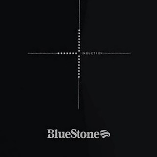 Bếp từ BlueStone ICB-6628