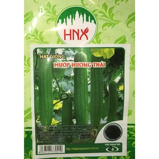 Hạt giống mướp hương thái siêu ngon siêu nhiều quả 2g