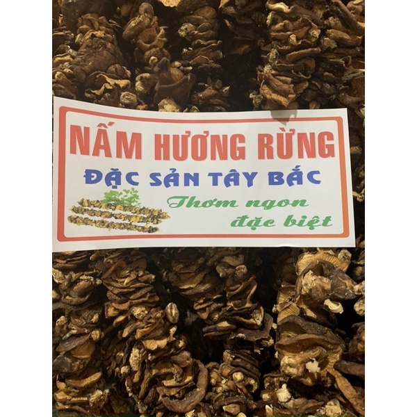 Nấm hương rừng Điện Biên