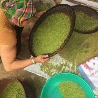 Cốm xanh Hà Nội