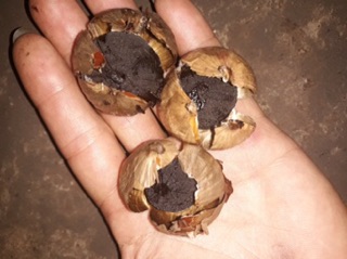 Tỏi đen cô đơn 100g nhà làm