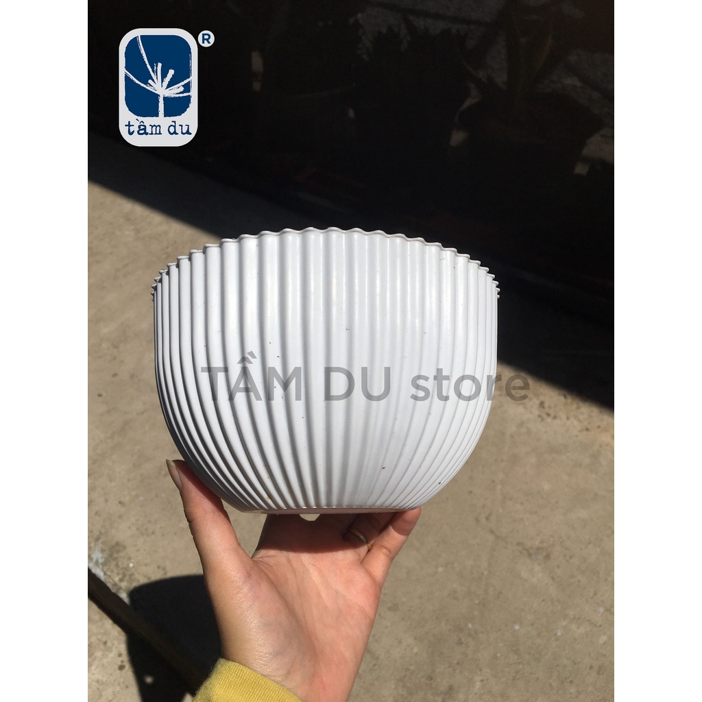 Chậu tròn lùn gân sọc nhựa trắng 160x100mm