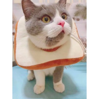 GỐI CỔ CHỐNG LIẾM CHO CHÓ MÈO
