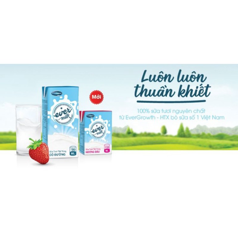 Thùng sữa tươi tiệt trùng Ever milk có đường hoặc  ít đường 110ml