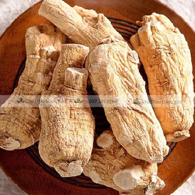 100g Bạch Sâm (Tây Dương Sâm) - Bổ Khí Dưỡng Âm,Thanh Nhiệt
