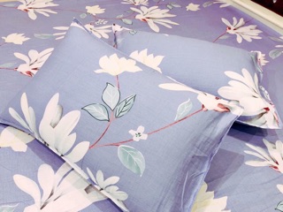 Bộ ga gối cottong lạnh