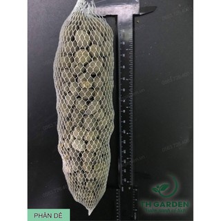 Túi Lưới 20cm Phân Dê Bón Lan Đã Qua Xử Lý