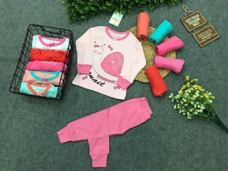 Combo 4 bộ cotton borip bé gái/bé trai 