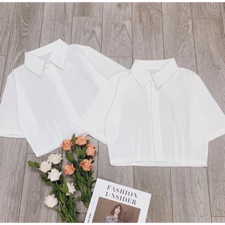 Áo sơ mi trắng croptop