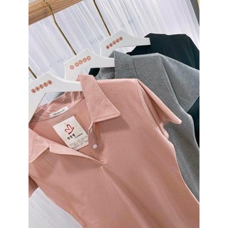 Váy polo phông cổ đức siêu hot