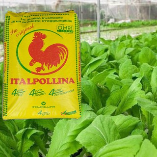 Phân Hữu Cơ Cao Cấp - Nhập Khẩu Ý (1kg), Phân bón hữu cơ