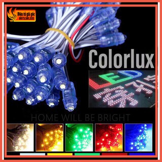 Bộ 50 bóng led đúc F5 đế 8 chống nước 12v đế trong