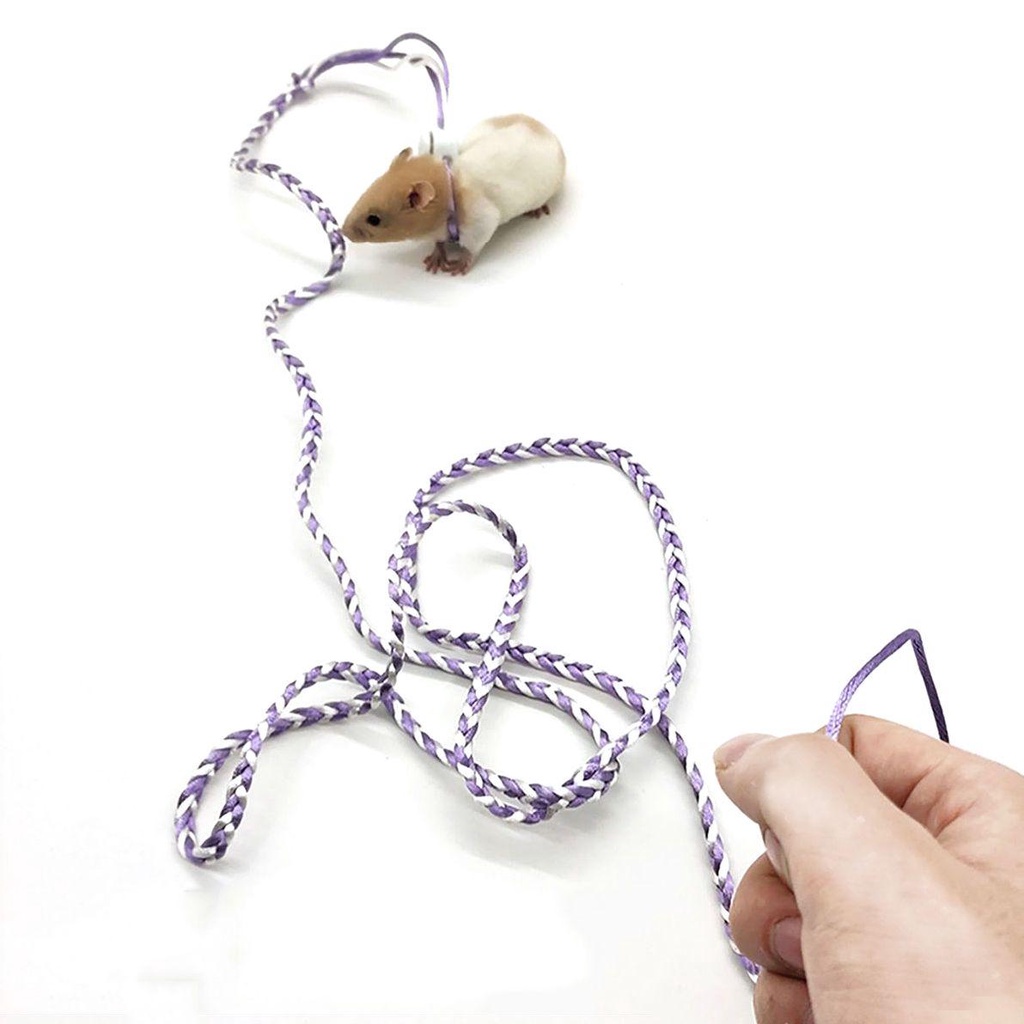 1 Dây Dắt Chuột Hamster Đi Dạo Bằng Nylon