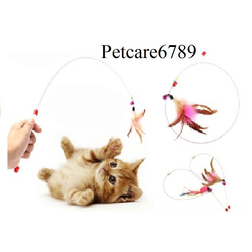 Cần Câu Mèo Dây Thép