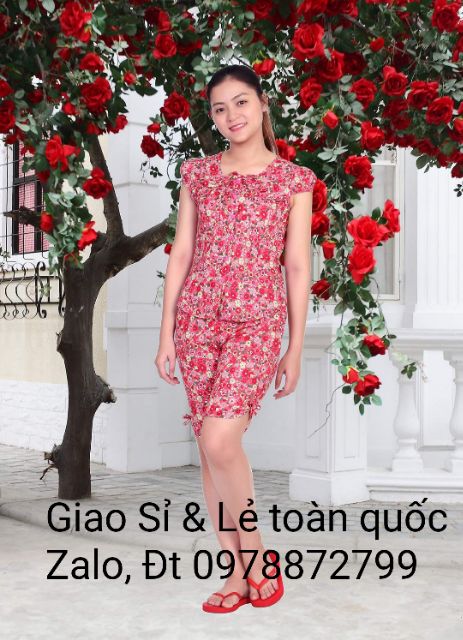 BỘ MARINO HỌA NHÍ