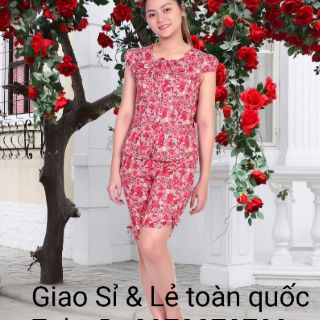 BỘ MARINO HỌA NHÍ