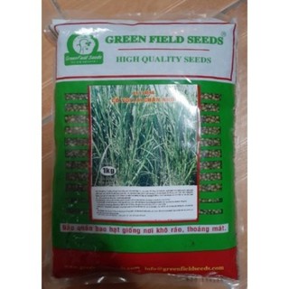 Hạt giống cỏ voi gói 1kg