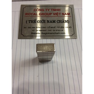 Nam châm viên đất hiếm 20x10x5mm