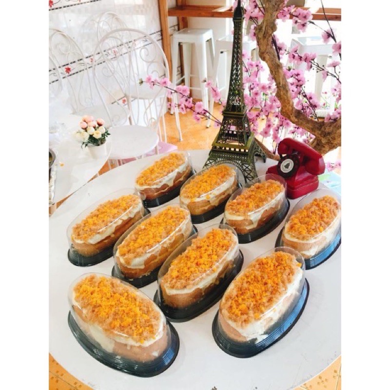 Hộp Nhựa OVan F70(10cai)