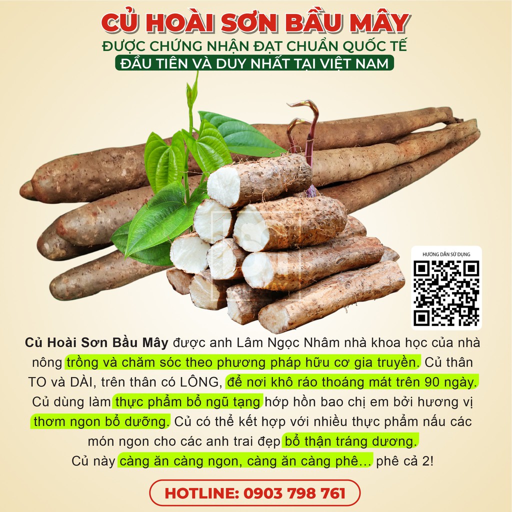 Củ Hoài Sơn Tươi ( Củ Mài) Bầu Mây giúp Hỗ trợ tăng cường sức khỏe cho người đang bị yếu, suy nhược cơ thể