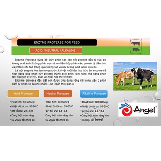 1kg Enzyme Protease For Feed - Thủy phân protein trong thức ăn chăn nuôi/ đạm cá làm phân bón