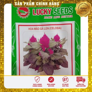 Hạt Giống Hoa Mào Gà Lửa Đỏ(100 hạt)