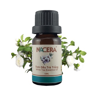 Tinh dầu Trà Trắng 5ml Giúp làm thơm phòng