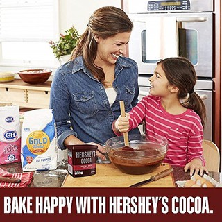 Siro Socola Hershey 680g