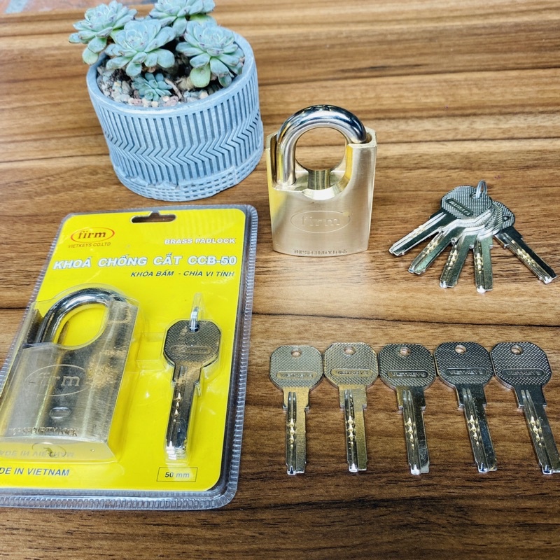 Khoá chống cắt 15 chìa vi tính, khoá móc bấm nhiều chìa firm