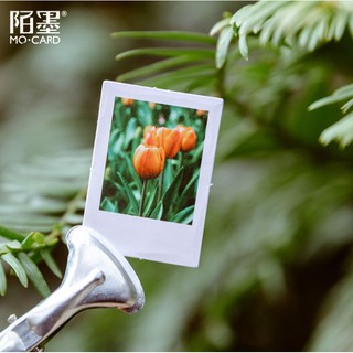 Bộ 46 Sticker Hoa Tulip Hà Lan E57