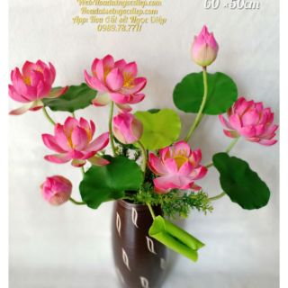 2C SEN NỞ ĐẤT SÉT ĐK 8-9CM (60CM)