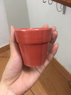 Chậu sứ mini